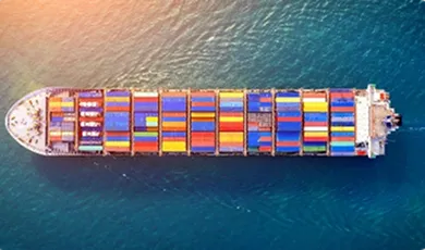 Servicios complementarios en comercio exterior